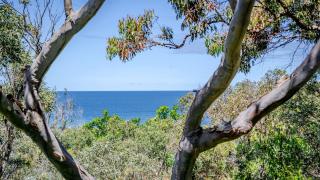 Beach, Bay, Bush and Heated Plunge Pool - Hardys Bay - 2