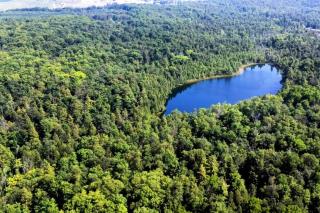 Anthropocene Jewel Cottage - 4