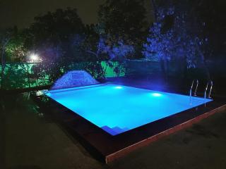 Forest Villa - Saralgaon - 9