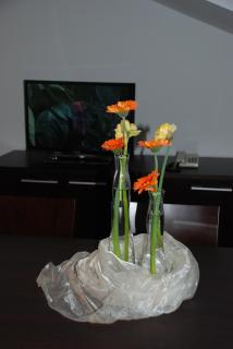 Aparthotel Pichler - Gossensaß - 6