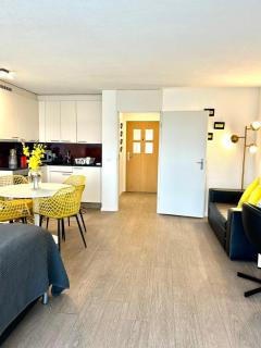 Little Penthouse **** - Dietikon - 6