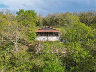 Table Rock Lakefront on 2 Acres with firepit - Golden - 8