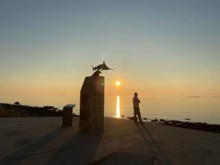 Villa Reipå - Northern lights and midnight sun - 6