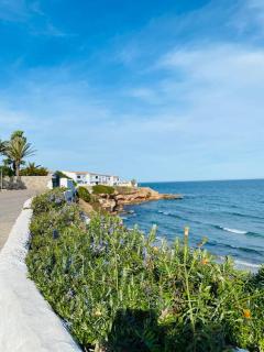Casa de Flores - Torrevieja - 7