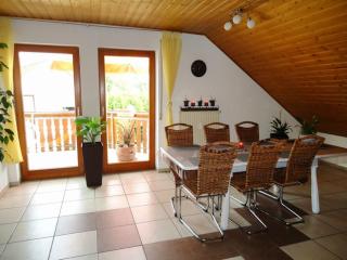 Ferienhaus Baier Wohnung mit Balkon und Schwedenofen für gemütliche Abende am Kamin - Engen - 9