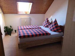 Ferienhaus Baier Wohnung mit Balkon und Schwedenofen für gemütliche Abende am Kamin - Engen - 1