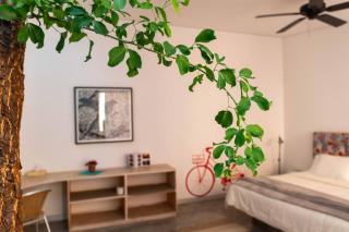 Hotel Cosijo - San Jeronimo Tlacochahuaya - Città di Oaxaca - 7
