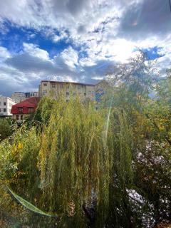 WillowHome - Central Apartment - Cluj-Napoca - 3