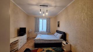 WillowHome - Central Apartment - Cluj-Napoca - 0