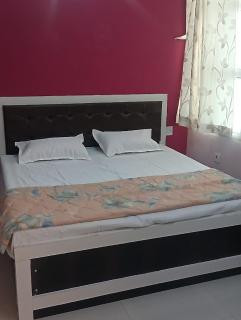 hotel rudraksh palace - Sawai Madhopur - 3