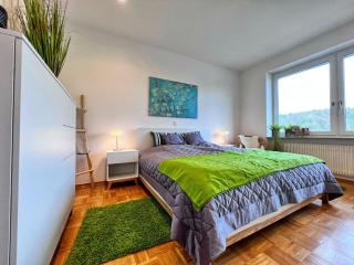 4-Sterne Ferienwohnung Waldblick Schweinfurt - Schweinfurt - 7