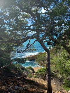 Villa Calanques - 9