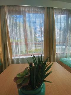 Indomito Sur Hostel - Punta Arenas - 3