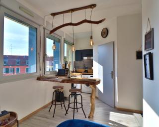 Superbe studio cosy et atypique 3 étoiles - Montbéliard - 2