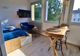 Superbe studio cosy et atypique 3 étoiles - Montbéliard - 7
