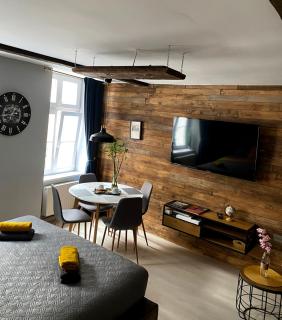 Perfect Stay - "Apartament Salvador" - Toruń - 8
