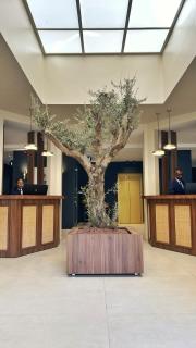 Hôtel AL AFIFA - Dakar - 6