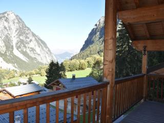 Grand appart. 4 pièces, mezzanine, 3 sdb, poêle, proche pistes - FR-1-464-222 - Pralognan-la-Vanoise - 2