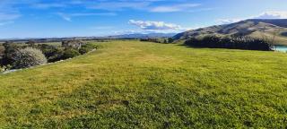 Hill Top Retreat - Lower Dashwood - 3