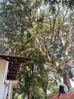 Home stay In Matara - Matara - 1