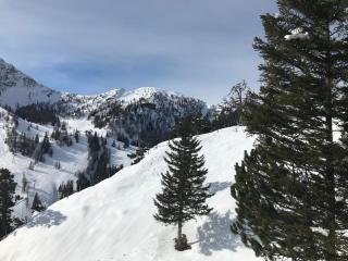 2-Zimmer Ferienwohnung an ruhiger Lage - Triesenberg - 6