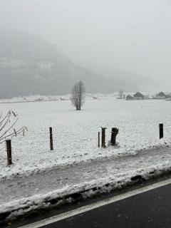 Ferienwohnungen Hager - Gosau - 5