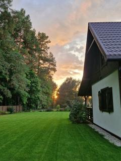 Łap Las Pelnik - Pelnik - 5