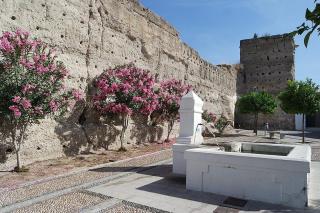 Hospedería Convento de Santa Clara - Palma del Río - 7