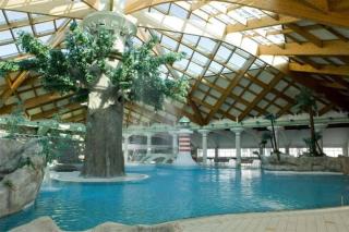 Aparthouse SUPREME with Terme Catez Swimming Pools Tickets - Čatež ob Savi - 9