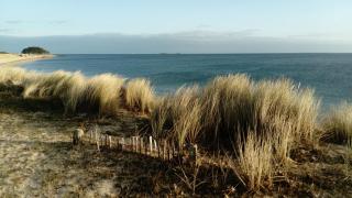 Grand studio lumineux près de la mer - 7