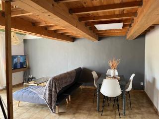 Duplex lumineux sur gde TERRASSE, BALNEO double, parking privé, CLIM, local vélos - Entraigues-sur-la-Sorgue - 1