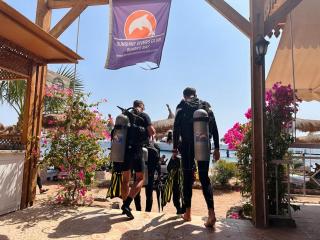 Sunshine Divers Club - 2