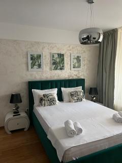 Luxury Copou Apartments - Iaşi - 6