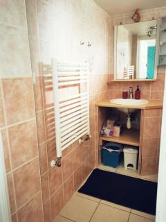 T1 bis, jardin, proche du centre - Seyssinet-Pariset - 3