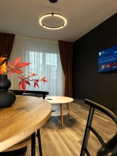 Lisbon Condo with Panoramic View Terrace - Braşov - 4
