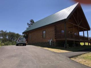 Family Memories - Luxurious Cabin w/ Theater Room - 1