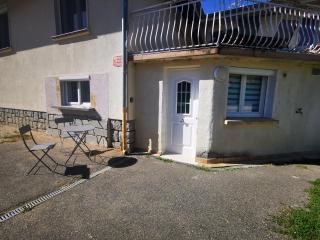 T1 bis, jardin, proche du centre - Seyssinet-Pariset - 9