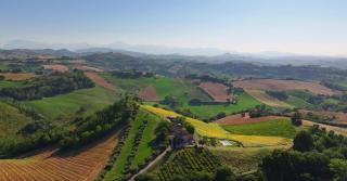 Agriturismo Casafaro Petritoli - Petritoli - 9