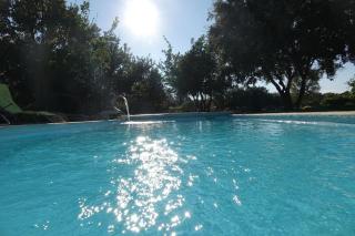 Coin de paradis en Provence - Saint-Cannat - 7