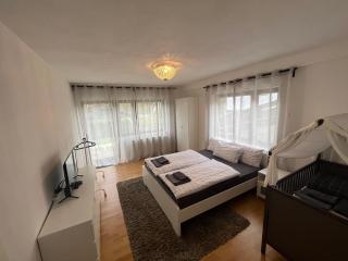Stilvolles Apartment nahe Therme und PreZero Arena - Sinsheim - 7