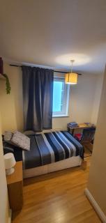 Double room&Private bath near the Square Mile - London - 6