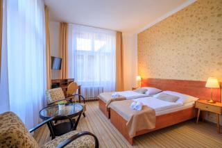 Hotel Ermi - Jince - 9