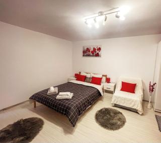 BUZZ Apartment - Cluj-Napoca - 3