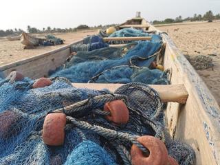 A&Y Wild Camp Ghana - Keta - 1