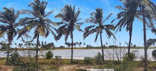 A&Y Wild Camp Ghana - Keta - 9