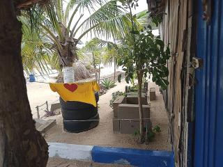 A&Y Wild Camp Ghana - Keta - 7