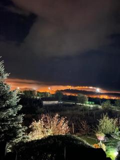 Wineyards Salin - Turda - 3