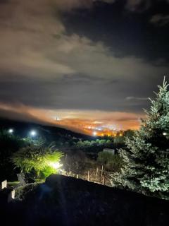 Wineyards Salin - Turda - 4