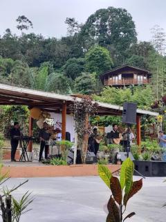 HOSTERIA MADERA FINA - Telimbela - 9
