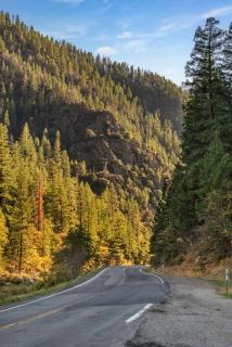 Escape to the Cabin, in Plumas National Forest - - 6